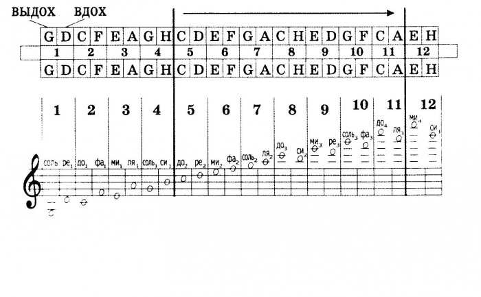 Расположение нот на тремоло гармониках с 24 мя парами отверстий..jpg