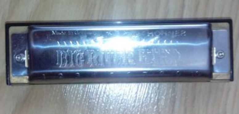 Hohner Big River1.JPG