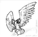 Аватара пользователя