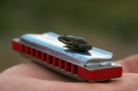Аватара пользователя