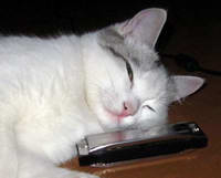 Аватара пользователя