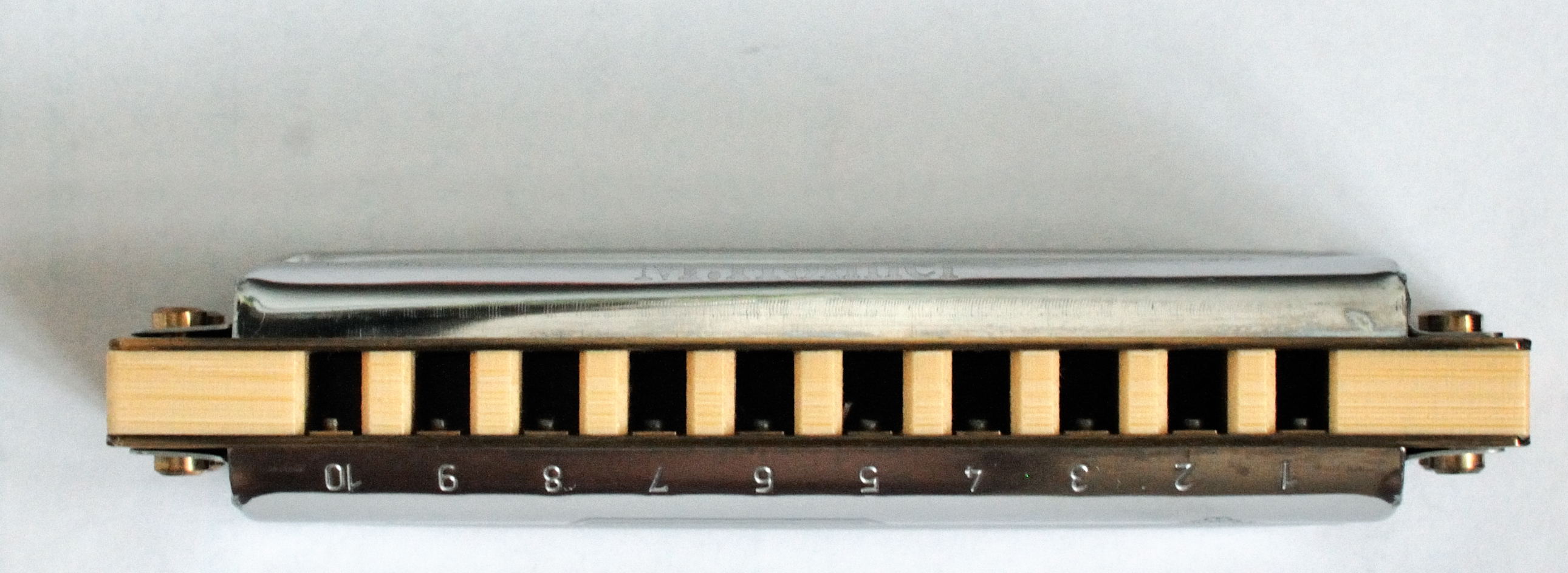 pic2.jpg