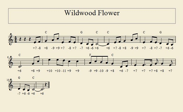 Wildwood Flower.JPG